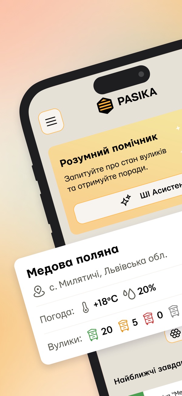 Уся пасіка з першого погляду